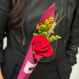 Rosa Sant Jordi 'Clàssic'
