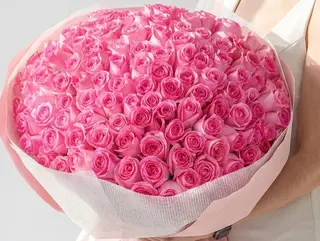 101 passion in pink roses
