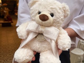 Teddy Cariñoso Polar