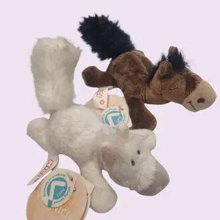 Imanes Caballo y Yegua