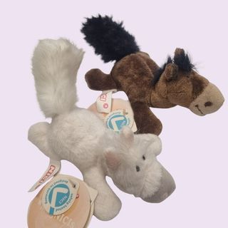 Imanes Caballo y Yegua