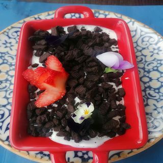 Falsa Maceta De Chocolate