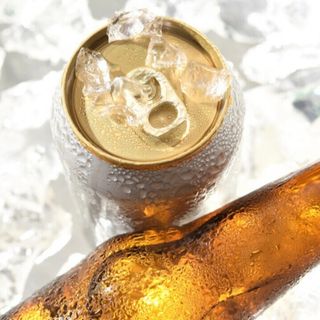 Cerveza lata 330ml