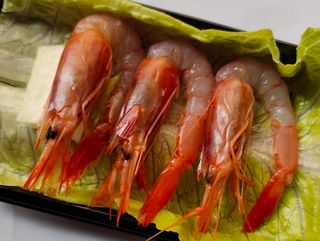 Sashimi Gamba Roja (3 piezas)