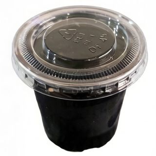 Salsa teriyaki
