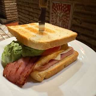 Sándwich Especial