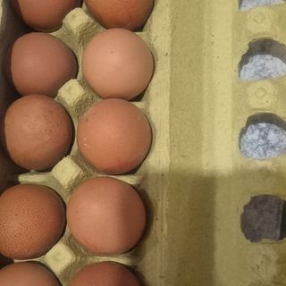 Huevos freescos