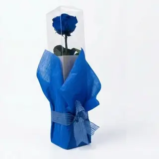 Rosa Eterna Azul