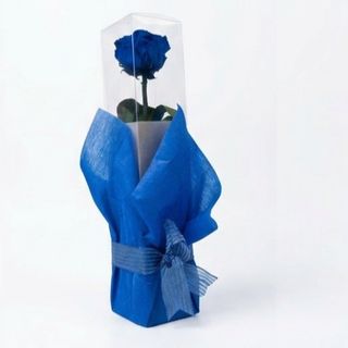 Rosa Eterna Azul