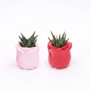 Composición Tulipan