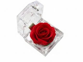 Rosa diamante diminuta