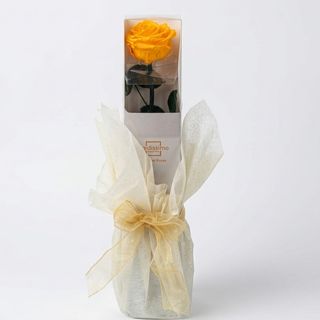 Preservada Amarilla en Caja de Regalo con Lazos