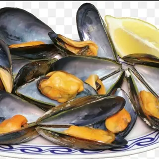 Mejillones Al Vapor