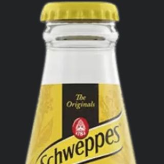 Tónica Schweppes 20cl