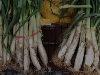 PIZZA CALÇOTS VEGETARIANA
