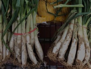 PIZZA CALÇOTS VEGETARIANA