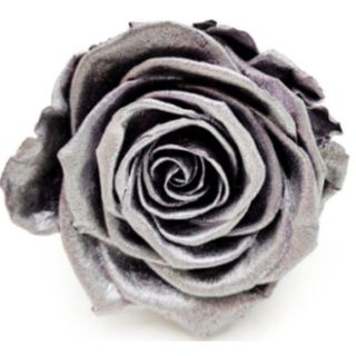 Rosa preservada plata