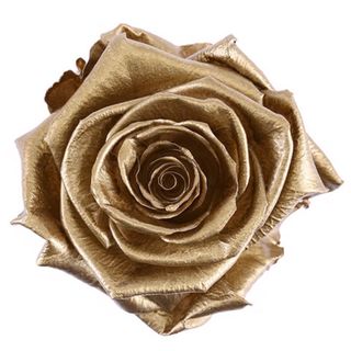 Rosa preservada oro