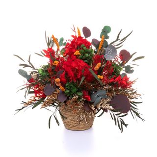 Mini Valentina Passion