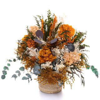 Mini Valentina Sunset