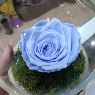 Cúpula rosa celeste