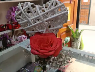 Rosa corazón
