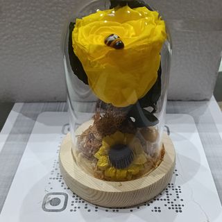 Cúpula de rosas amarilla