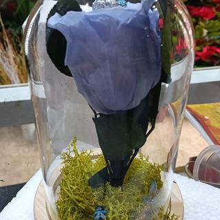 Cúpula rosa eterna celeste