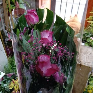 Ramo tres rosas malvas