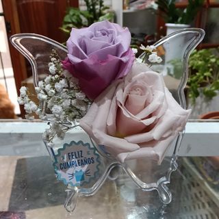 Mariposa te quiero o Feliz cumpleaños