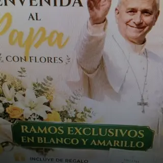 Dar la bienvenida al Papa