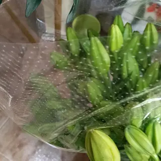 Lilium amarillo