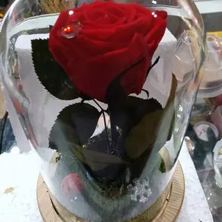Cúpula roja