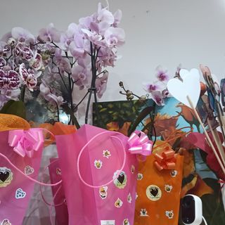 Orquídea 1 vara