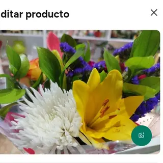 Ramo felicidad