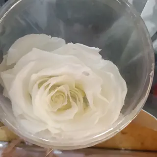 Rosa blanca eterna