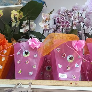 Orquídea 2 vara
