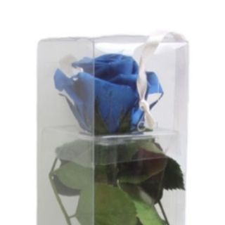 Rosa eterna azul