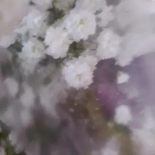 Lluvia