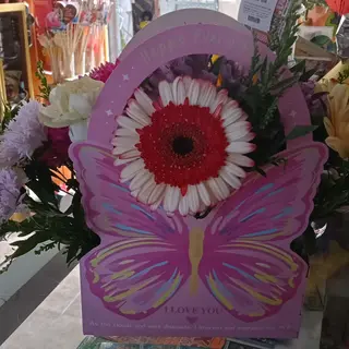 Centro mariposa
