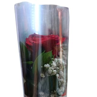 Rosa especial san Valentín con regalo