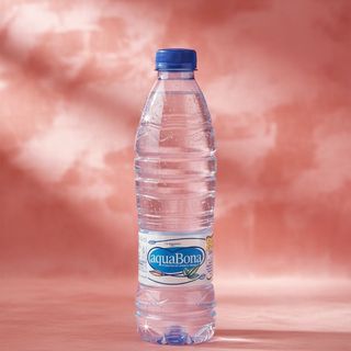 Agua Botella (500 Ml.)
