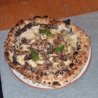 Pizza trufa