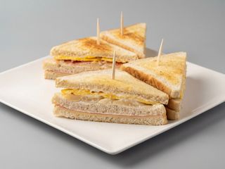 Sándwich Especial