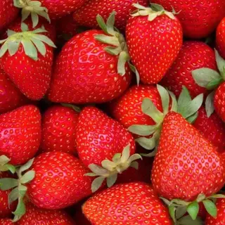 Extra fresa