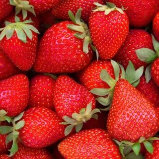 Extra fresa