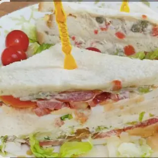 Sándwich Vegetal