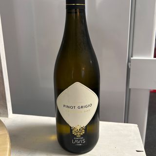 Vino blanco seco Pinot grigio del Trentino 