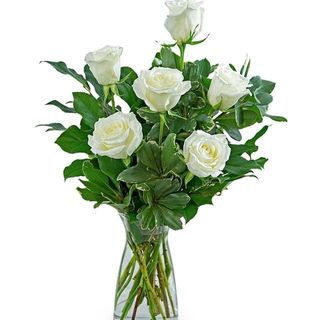 Media docena de Rosas Blancas