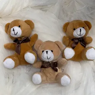Oso Pequeno